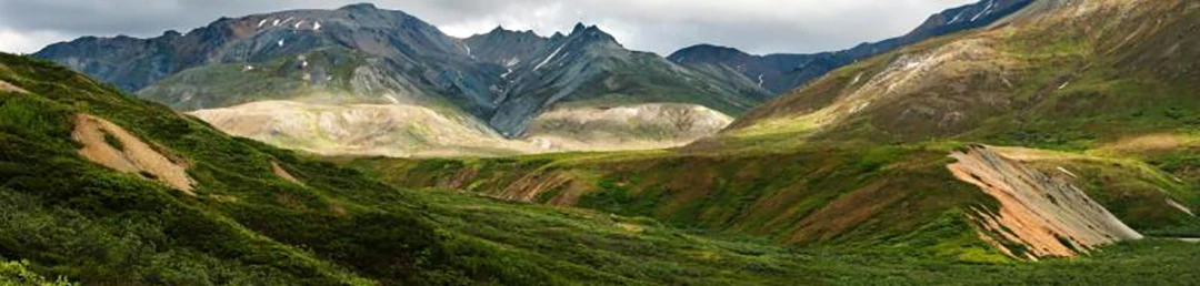 Mountains of Denali A lush, green picturesque view of mountains in Denali.