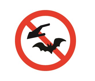 do not touch bats icon for do not touch bats