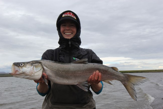 sheefish A researcher holding a large sheefish.