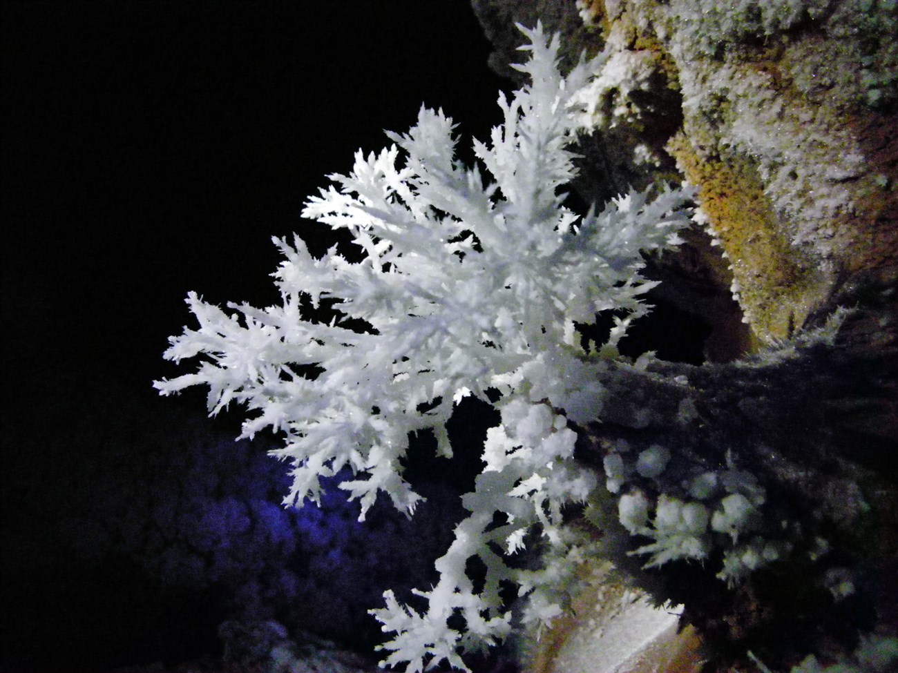 WICA cave crystal NPS by Marc Ohms Branching Frostwork
