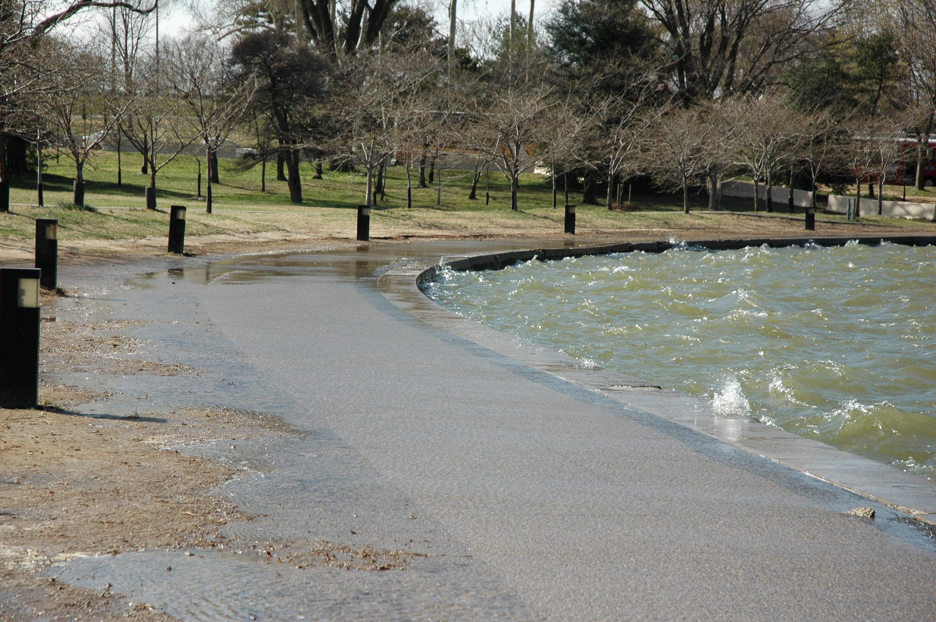 Washington Capitals on X: A trip to the Tidal Basin