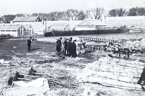 History of the National Cherry Blossom Festival in Washington