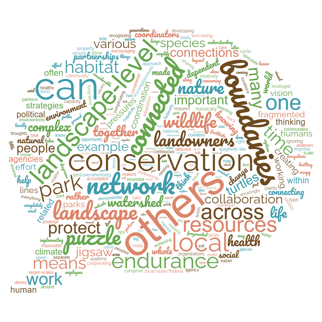 word cloud in shape of thought bubble that includes words like conservation, boundaries, and connections