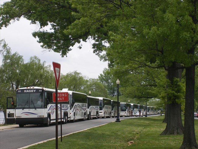 Tour buses parked along a park road