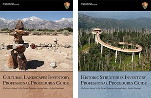 The covers of the CLI Professional Procedures Guide and HSI Professional Procedures Guide