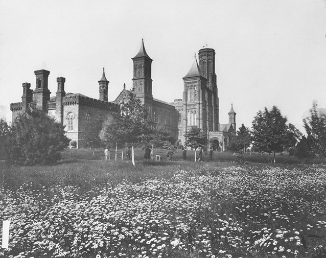 The towers of the Smithsonian Castle rise beyond young trees and a field of flowers.