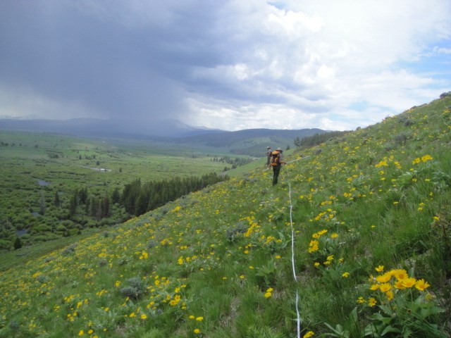 Two people walk along a tape stretched over the side of a grassy hillside with scattered flowers. A river bottom and mountains extend in the background