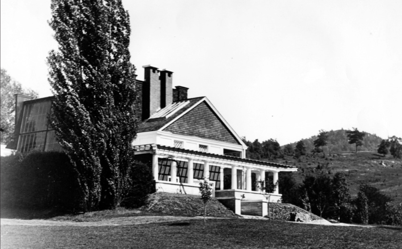 Cortland Apple - Old House Trees