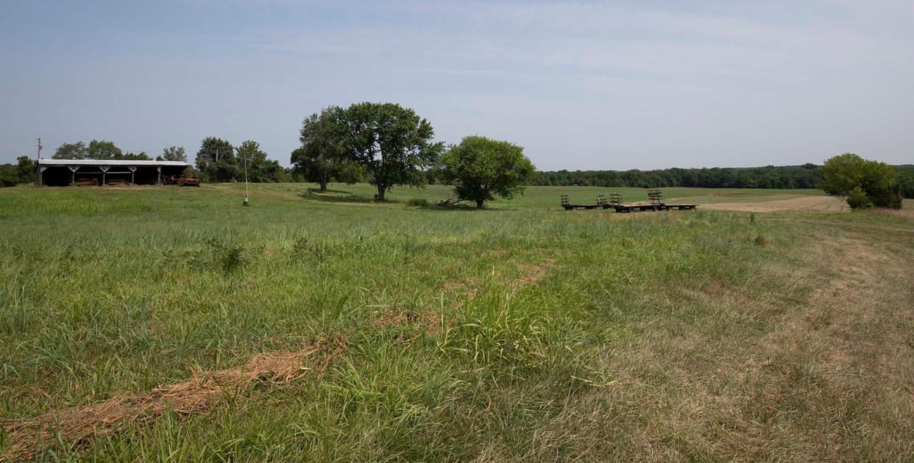MANA Wheeler-era equipment shed and fields A colored photograph showing an open field with a shed and trees in the distance.