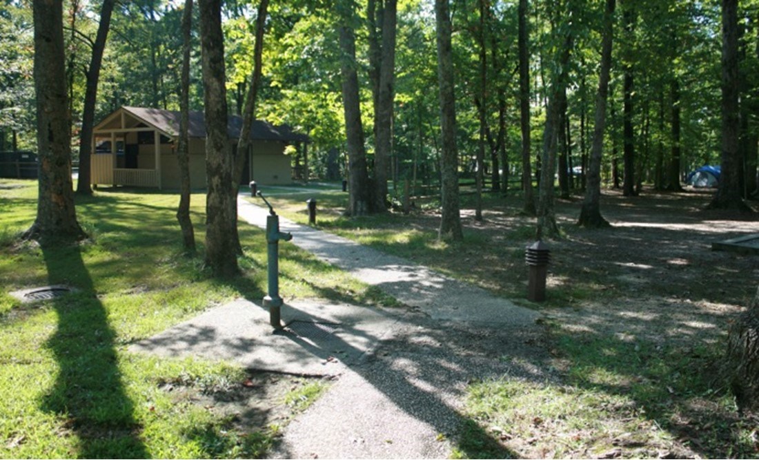 Concrete paths connect comfort stations and campsites in an area shaded by leafy trees