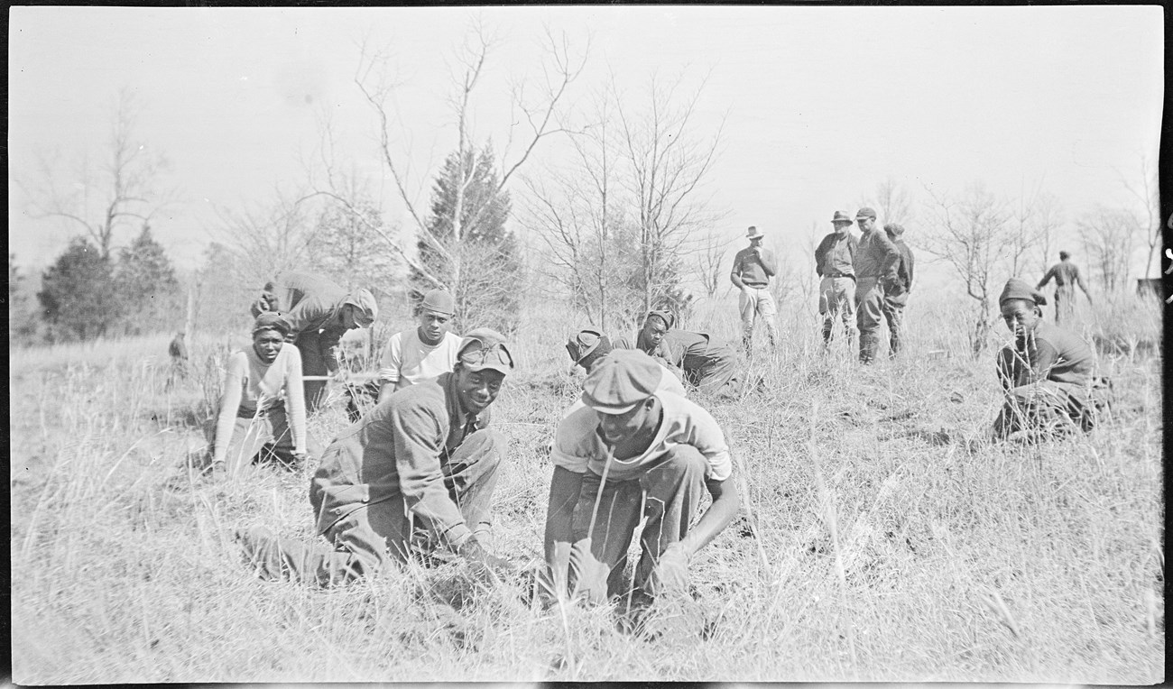 Black and white photo of a group of young African American men, most kneeling in a grassy area, to plant trees.