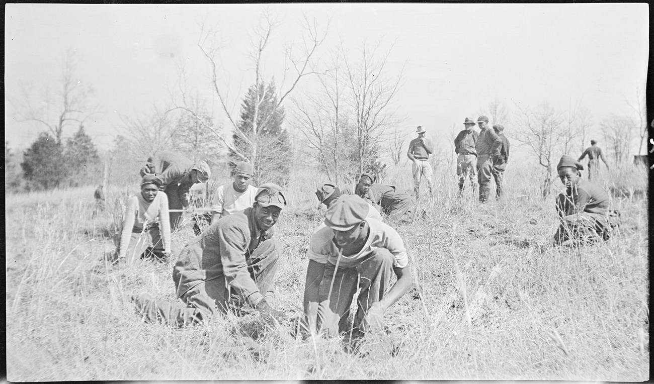 African American CCC crew plant trees Black and white photo of a group of young African American men, most kneeling in a grassy area, to plant trees.