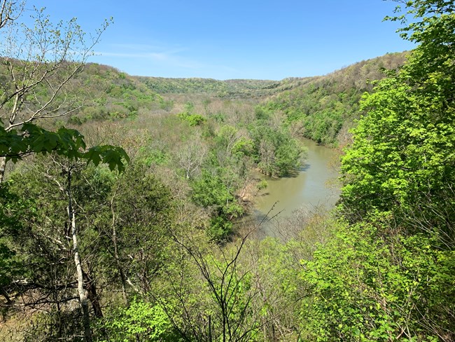 A high angle view of green-brown river flowing through tree-covered rolling hills.