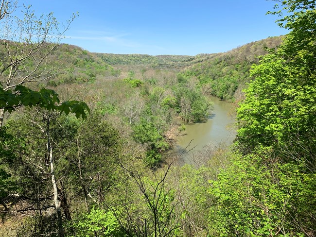 View from Green River Bluffs Overlook A high angle view of green-brown river flowing through tree-covered rolling hills.
