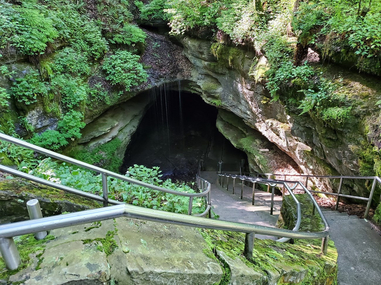 A double staircase, with metal handrails on the sides and middle, leads into a dark cave opening framed by plant-covered rocks dripping with water.