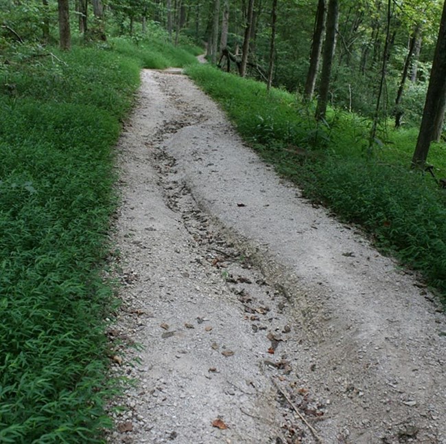 A run-off channel is cut through the middle of an unpaved trail with crushed stone surface, surrounded by leafy trees and low, lush undergrowth.