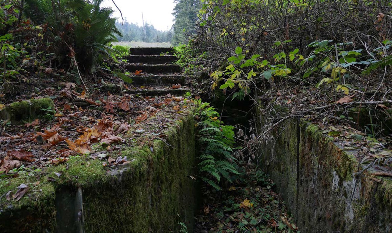 Concrete walls form a channel in a hillside, beside a set of stairs and surrounded by vegetation.