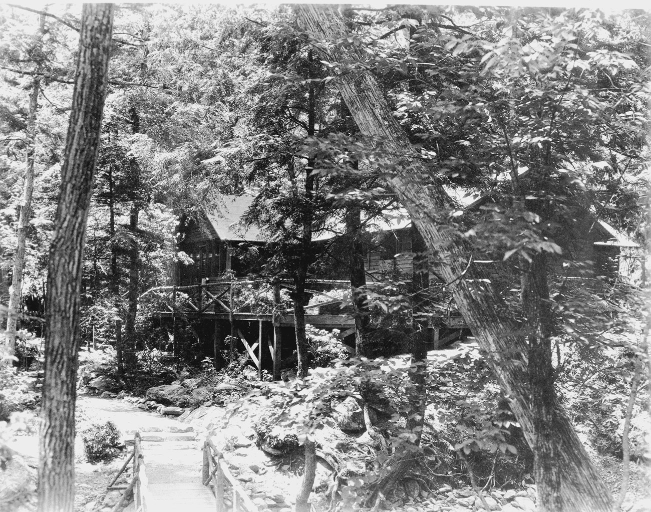 A footbridge leads to a rustic wooden cabin in the woods, showing the hemlock canopy and ferns during the historic period
