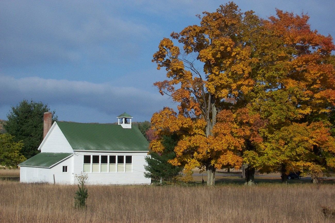 A row of tall trees is full of colorful fall leaves, beside a schoolhouse with a row of windows and a belltower.
