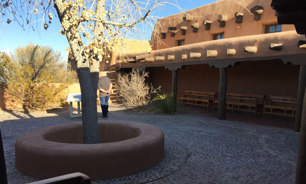 A Cottonwood tree grows in a planter in a cobblestone patio, outside an adobe structure with overhanging vigas