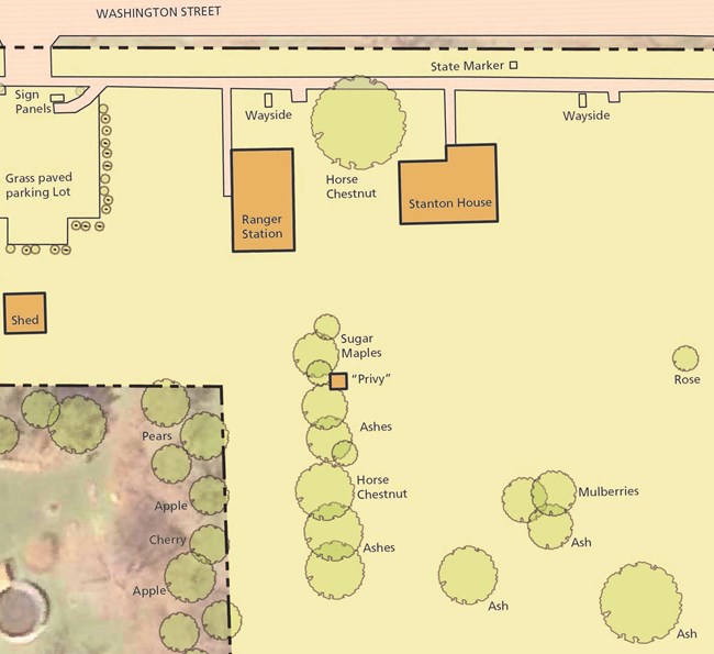 Stanton House site map, showing the labeled horse chestnut tree near the house
