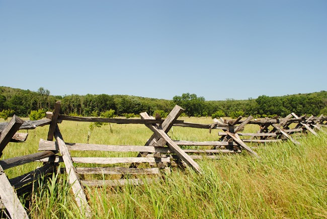 An orchard is visible beyond a wooden worm fence, surrounded by tall grass