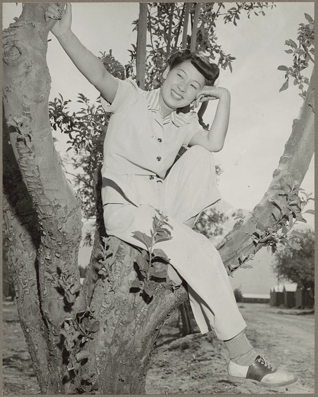 A young Japanese American woman sits in the branches of an apple tree, with one arm extended to hold a branch and her head leaning on the other hand.