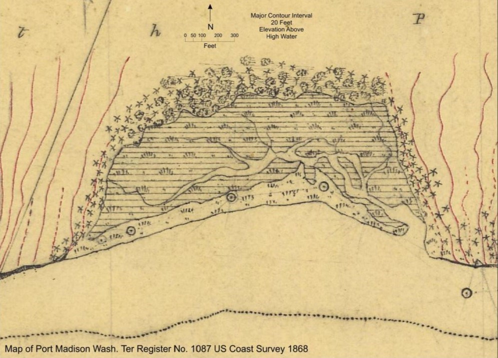 A coast survey map shows areas of marsh, shoreline, vegetation, and topography.