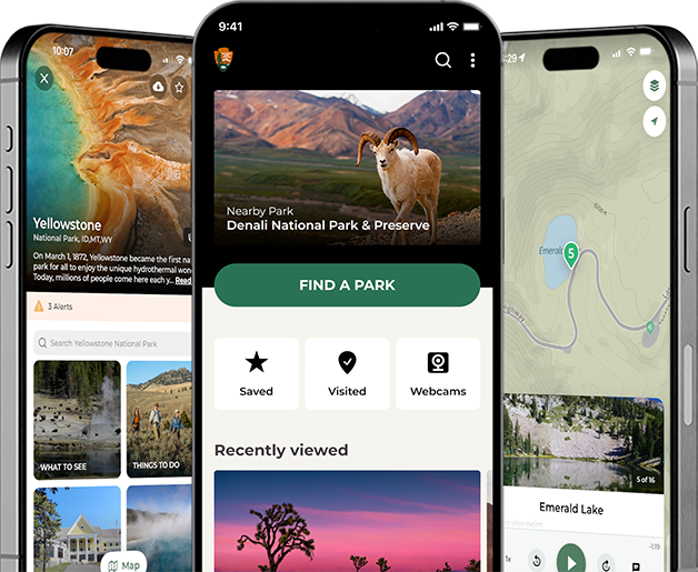 A view of the National Park Service app 3 iPhones stacked together, showing different views of the NPS app