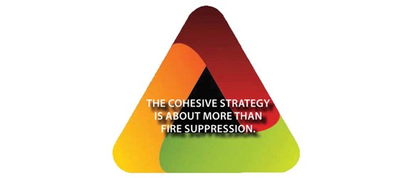 A messaging triangle presents the key message that the Cohesive Strategy is about more than fire suppression