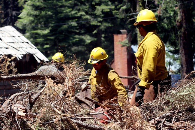 Defensible Space Clean-up Day Fire crews works to clear dead and down slash.