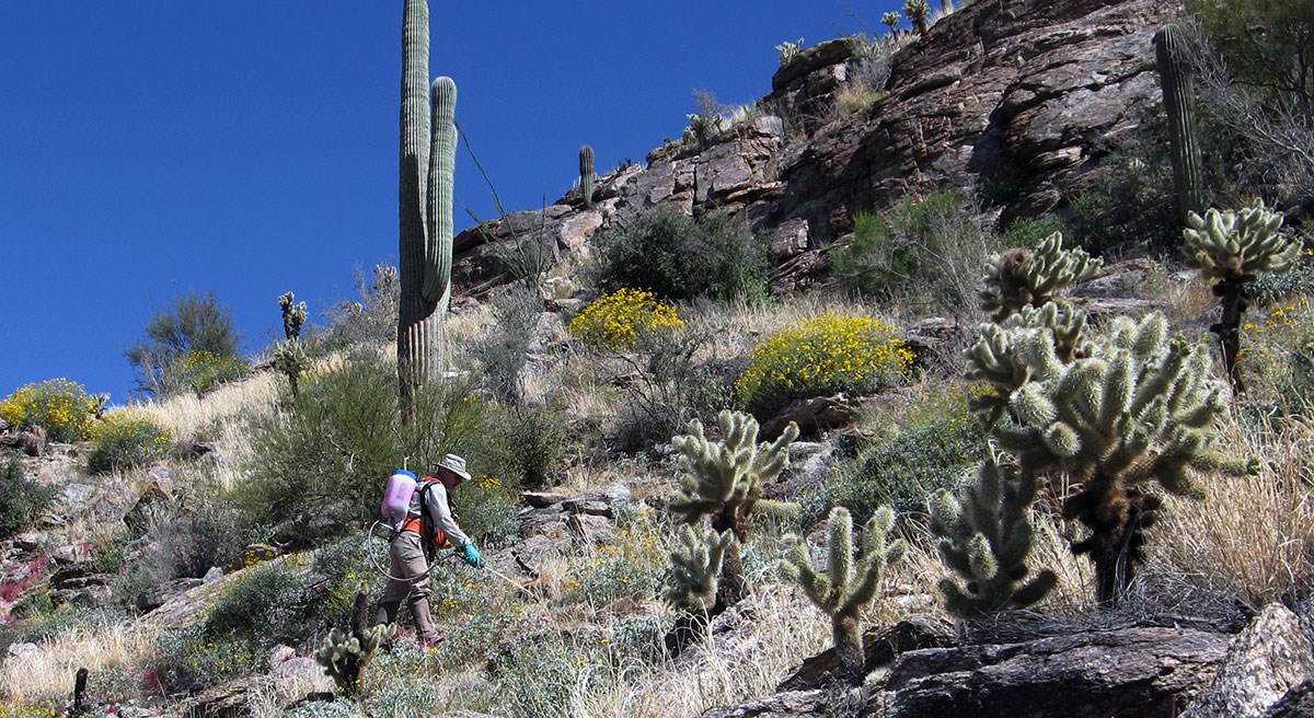 A person in protective equipment sprays grass with herbicide.