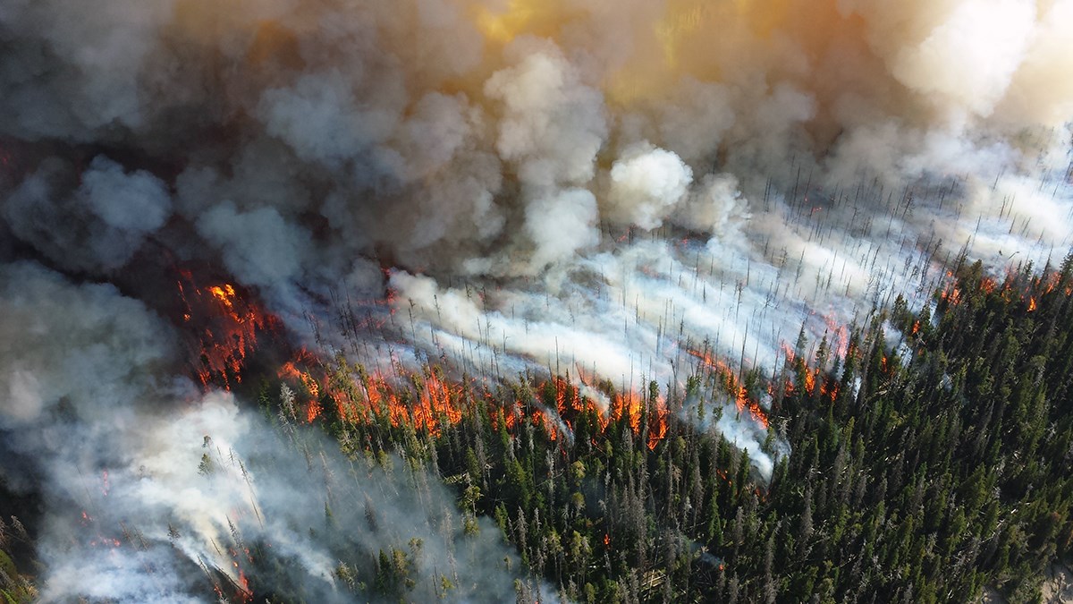 Aerial view of crown fire in forest at Yellowstone