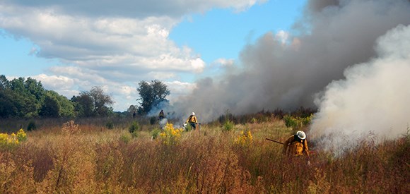 Firefighters use drip torches to ignite a meadow.