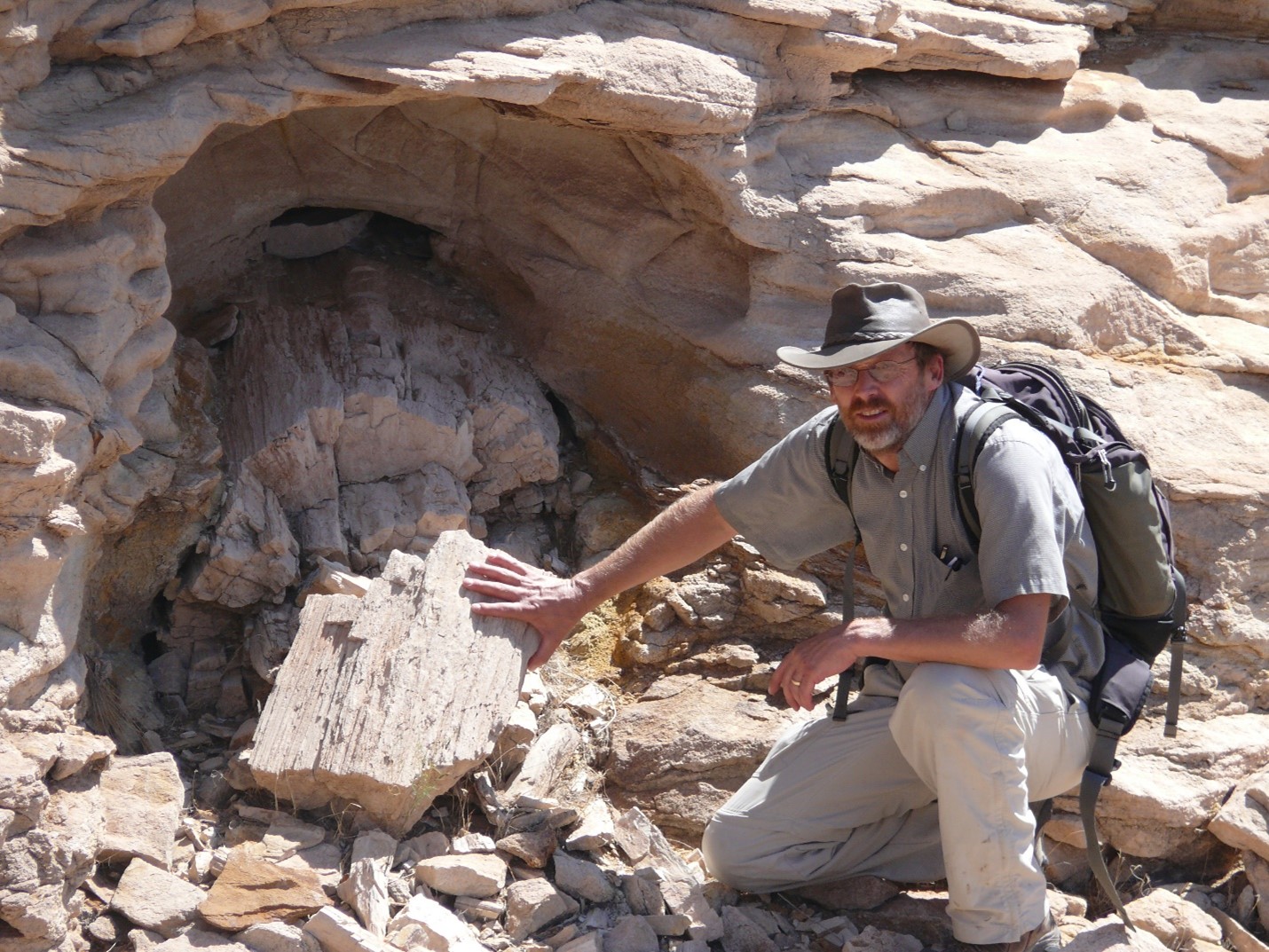 Fossils of the 2024 National Fossil Day Artwork (U.S. National Park