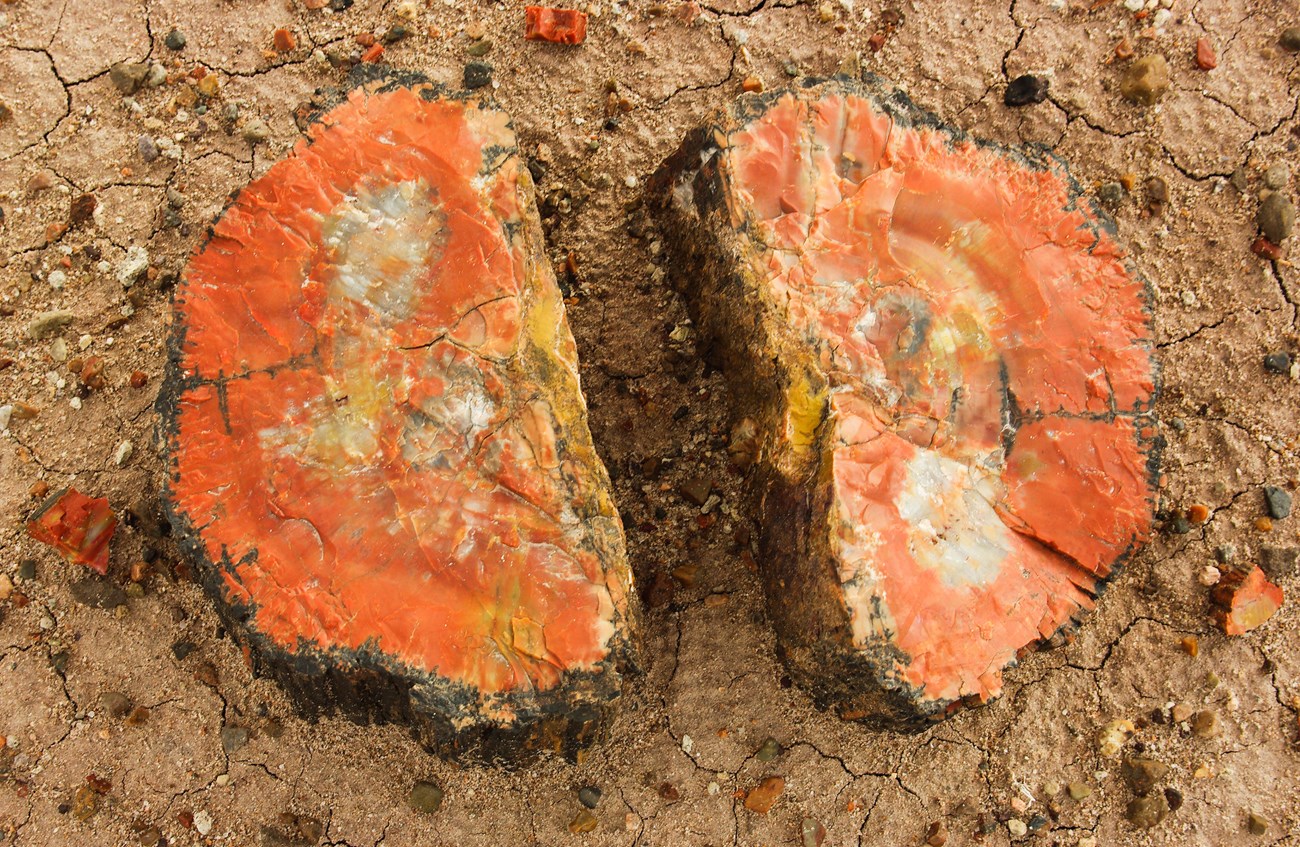 51562948351_346bb3a584_k Photo of a rock split in two.