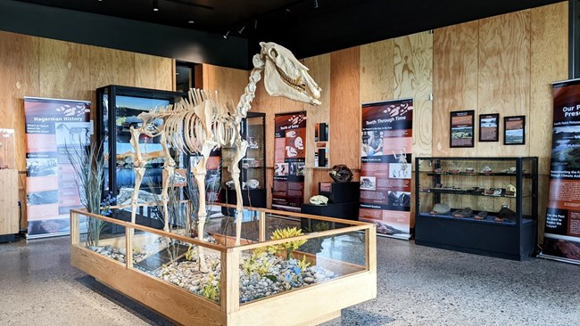 HAFO 1A90D63A-0AC3-A7B7-6D98AD6A41CBFEEB Photo of the inside of a visitor center with the skeleton of a prehistoric horse.