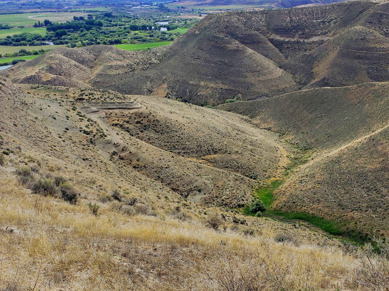 HAFO_Figure_1 Photo of grass covered hills.