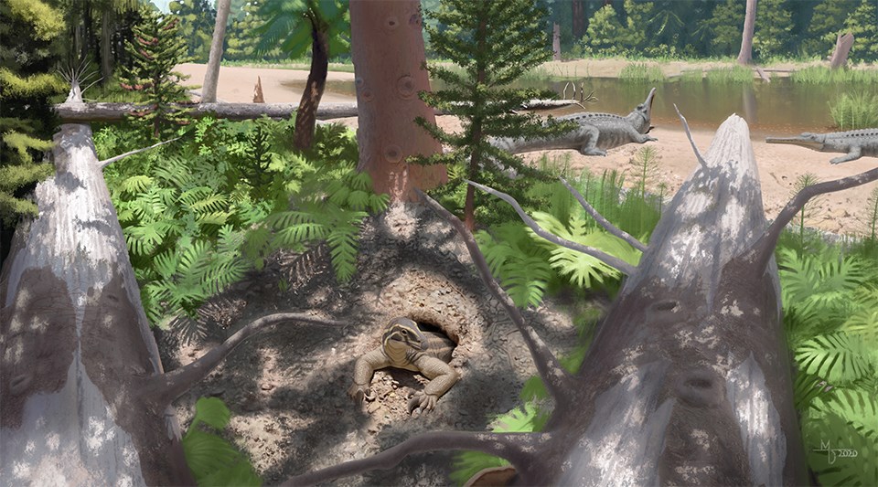 Skybalonyx_Painting Artwork of forest scene with ferns, trees, and animals