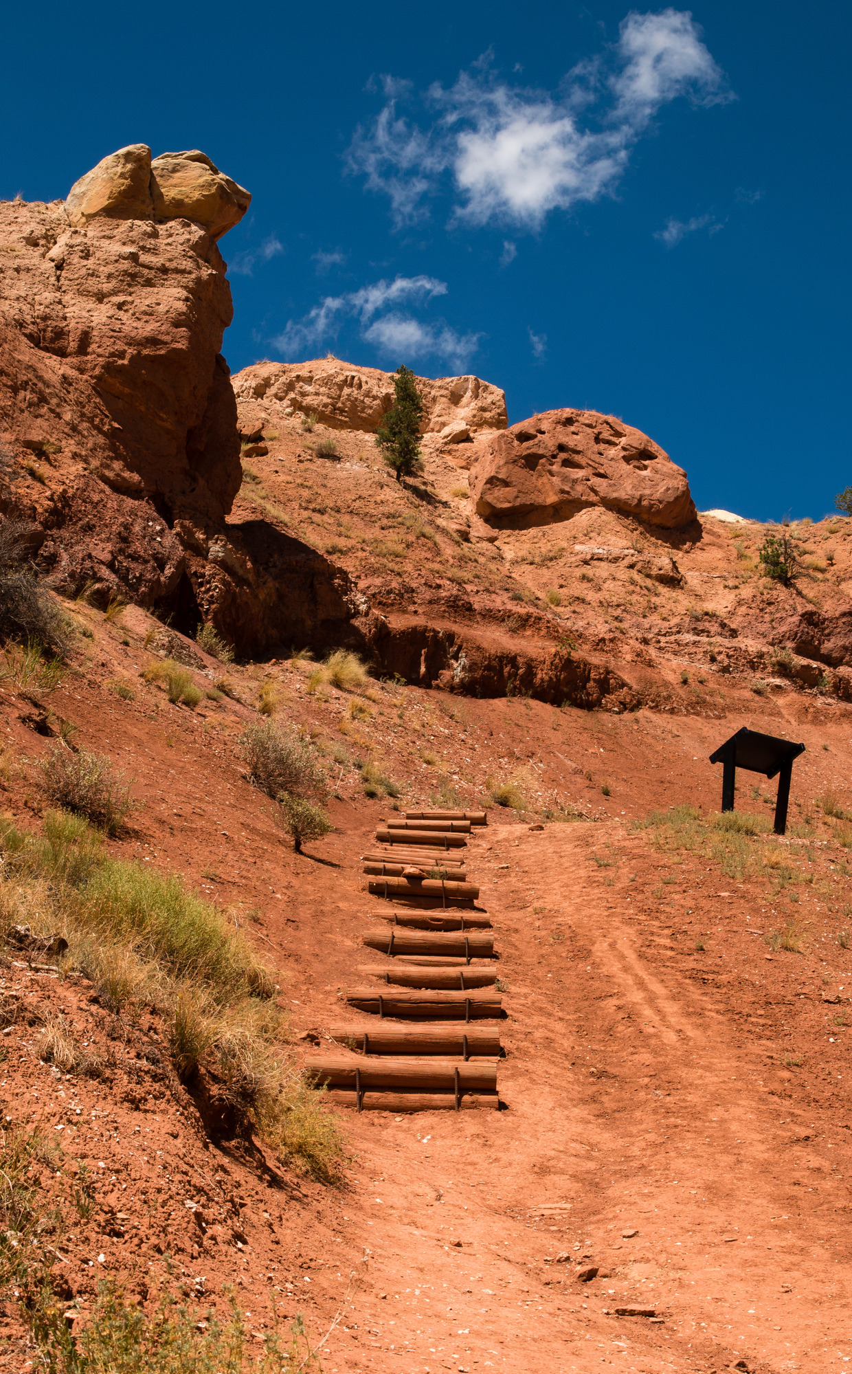 Where Dinosaurs Roamed - Fossils and Paleontology (U.S. National