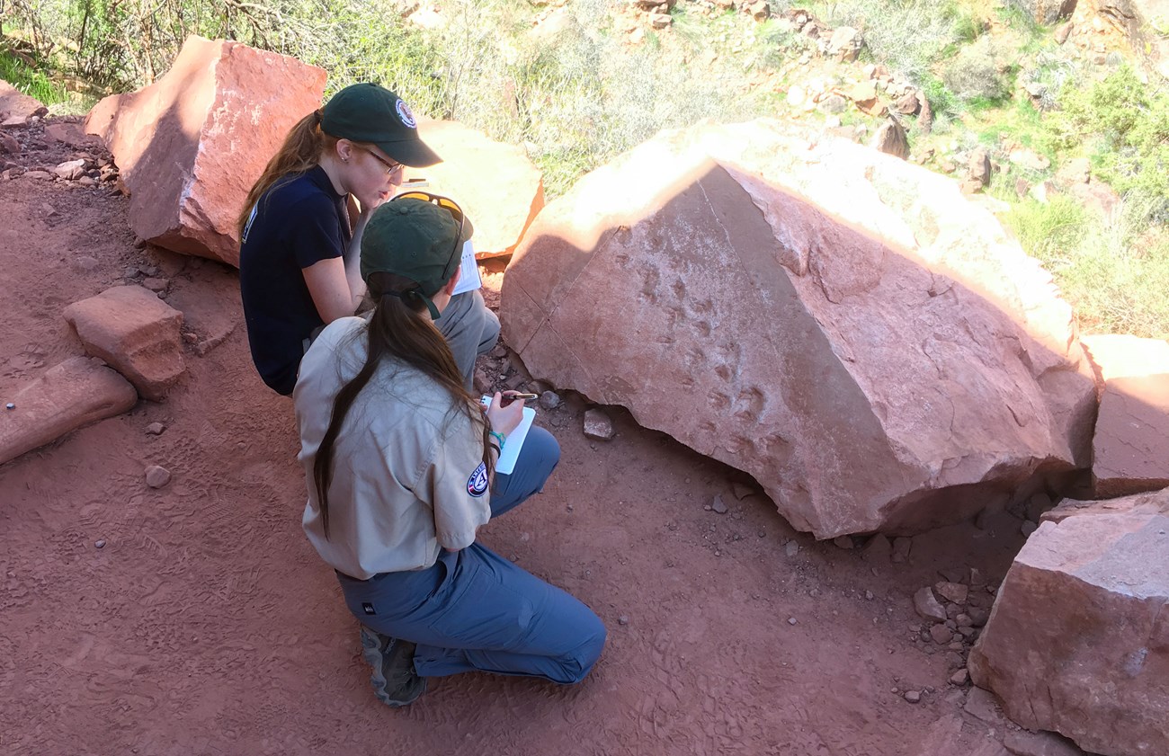 grca-trailside-tracks-crop two people examine fossil tracks on trail side boulder