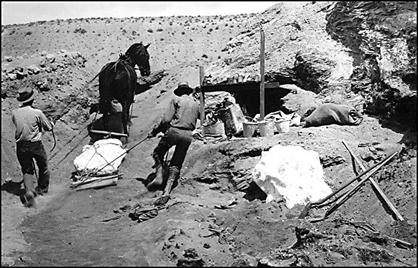 hagerman fossil quarry hagerman fossil quarry