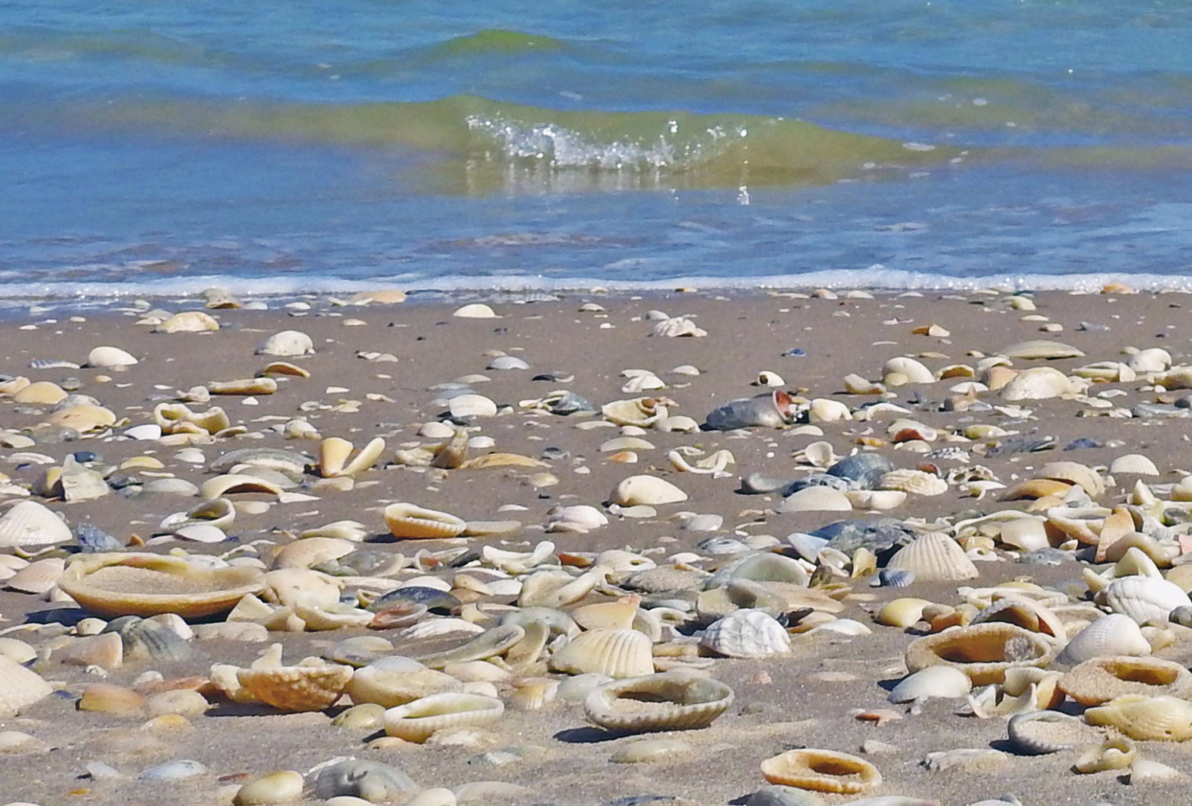 Beach Materials - Geology (U.S. National Park Service)