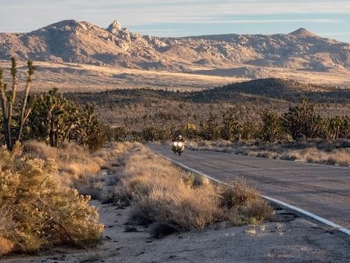 Two motorcyclists wearing helmets riding on a road through the desert.