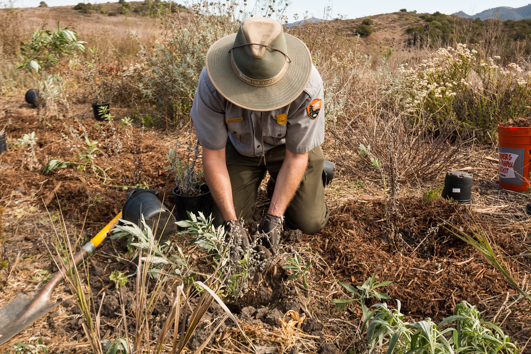 Farmers deterred from tree planting over planning battles