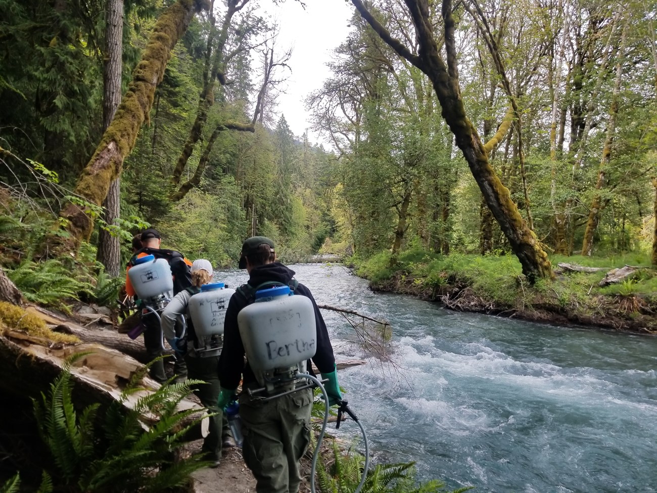 Workers in Olympic National Park