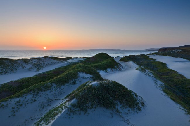 sun setting on a series of dunes with green plants on top of them