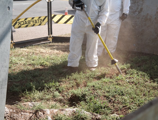 An employee in protective gear holds an air spade tool, the nozzle pointed at the ground under a tree