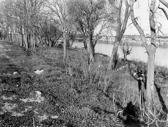 cannery site in 1964 cannery site in 1964