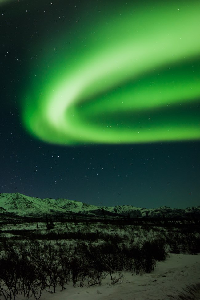 green shimmering northern lights over a snowy forest and mountain landscape in Alaska